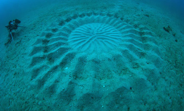 underwater-mystery-circle-5